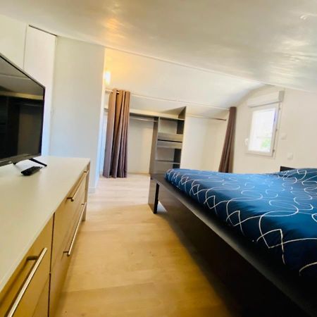 Апартаменты T3 En Duplex Pour 6 Pers Bien Place Terrasse Et Parking Inclus Тулуза Экстерьер фото
