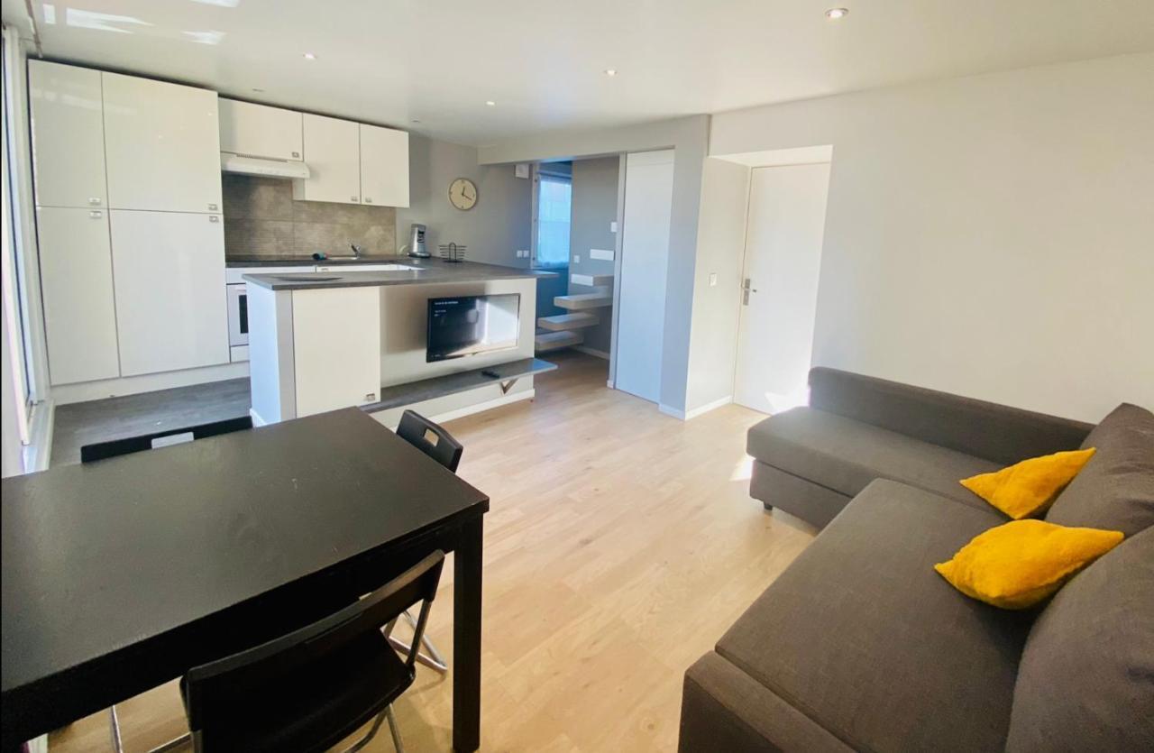 Апартаменты T3 En Duplex Pour 6 Pers Bien Place Terrasse Et Parking Inclus Тулуза Экстерьер фото